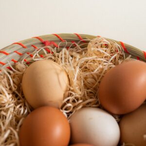 HUEVOS ORGANICOS LA VICENTA MEDIA DOCENA