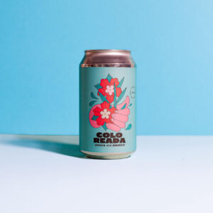 KOMBUCHA GINGER ALE HIBISCUS X354ML- COLOREADA