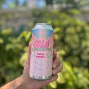 KOMBUCHA POMELO ROSADO X354ML - CHÁ